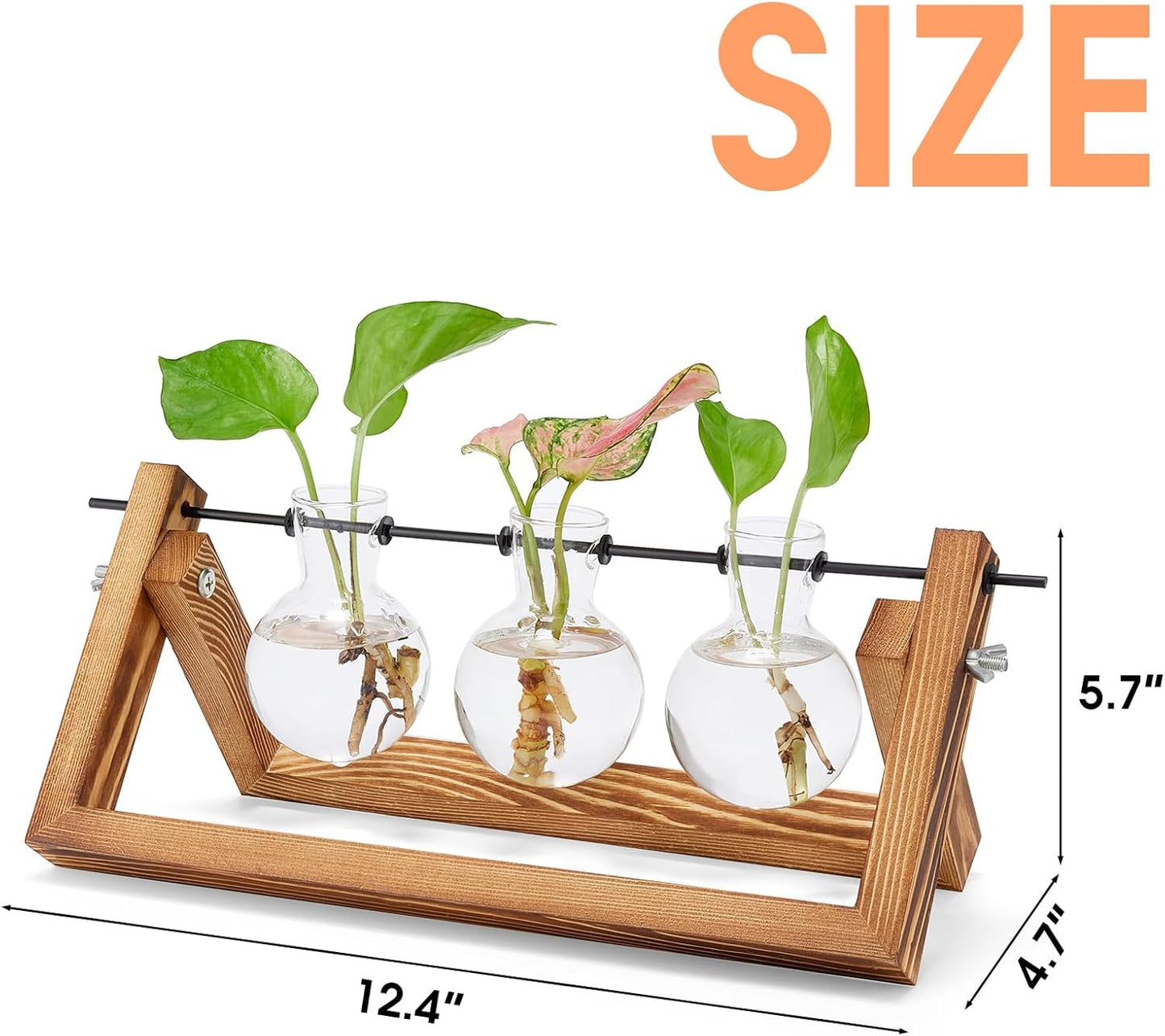 Yangbaga Plant Terrarium with Wooden Stand,Plant Propagation Stations Desktop-Plant Gifts for Plant Lovers Women for Windows Indoor Plants Office Home Garden Decor 3 Bulb Vase