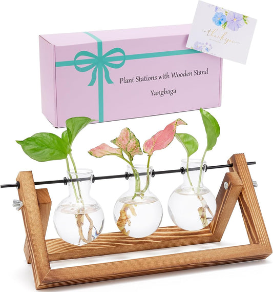 Yangbaga Plant Terrarium with Wooden Stand,Plant Propagation Stations Desktop-Plant Gifts for Plant Lovers Women for Windows Indoor Plants Office Home Garden Decor 3 Bulb Vase