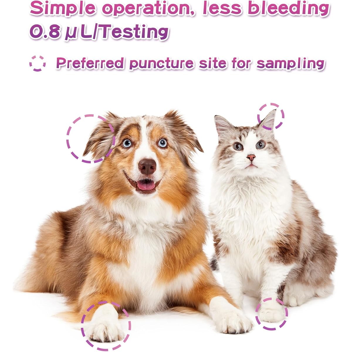 AssuTest® Blood Glucose & Blood Ketone Test Meter for Pets Cats and Dogs Diabetic Ketoacidosis Testing Monitor Kit - All in One Solution for in-Clinic or at Home, Comes with User Guide, Test Strips, Diary, and Case.