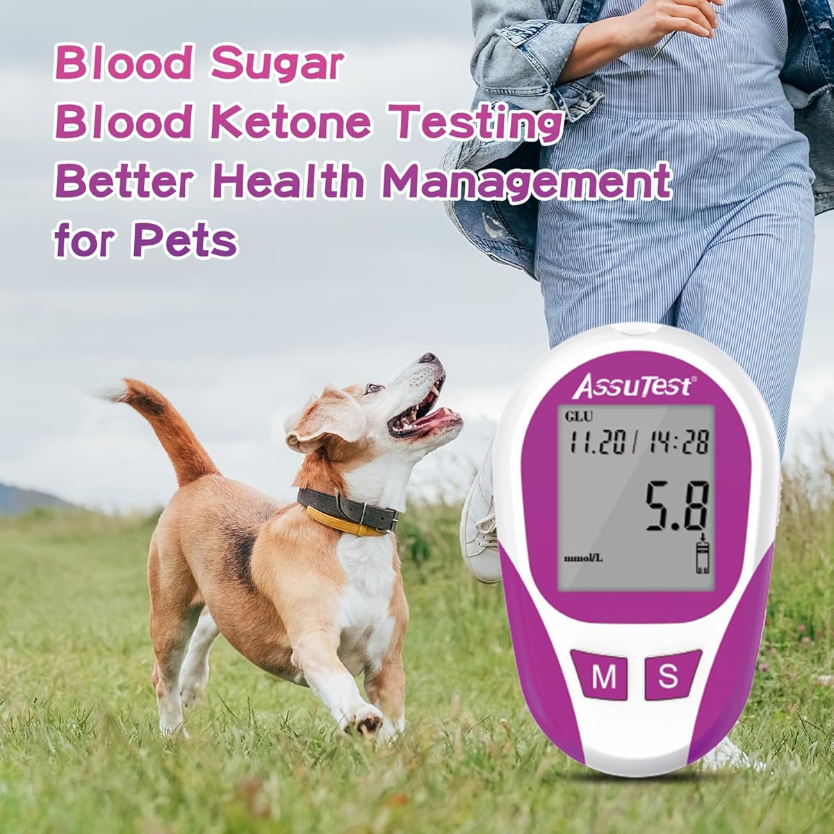 AssuTest® Blood Glucose & Blood Ketone Test Meter for Pets Cats and Dogs Diabetic Ketoacidosis Testing Monitor Kit - All in One Solution for in-Clinic or at Home, Comes with User Guide, Test Strips, Diary, and Case.