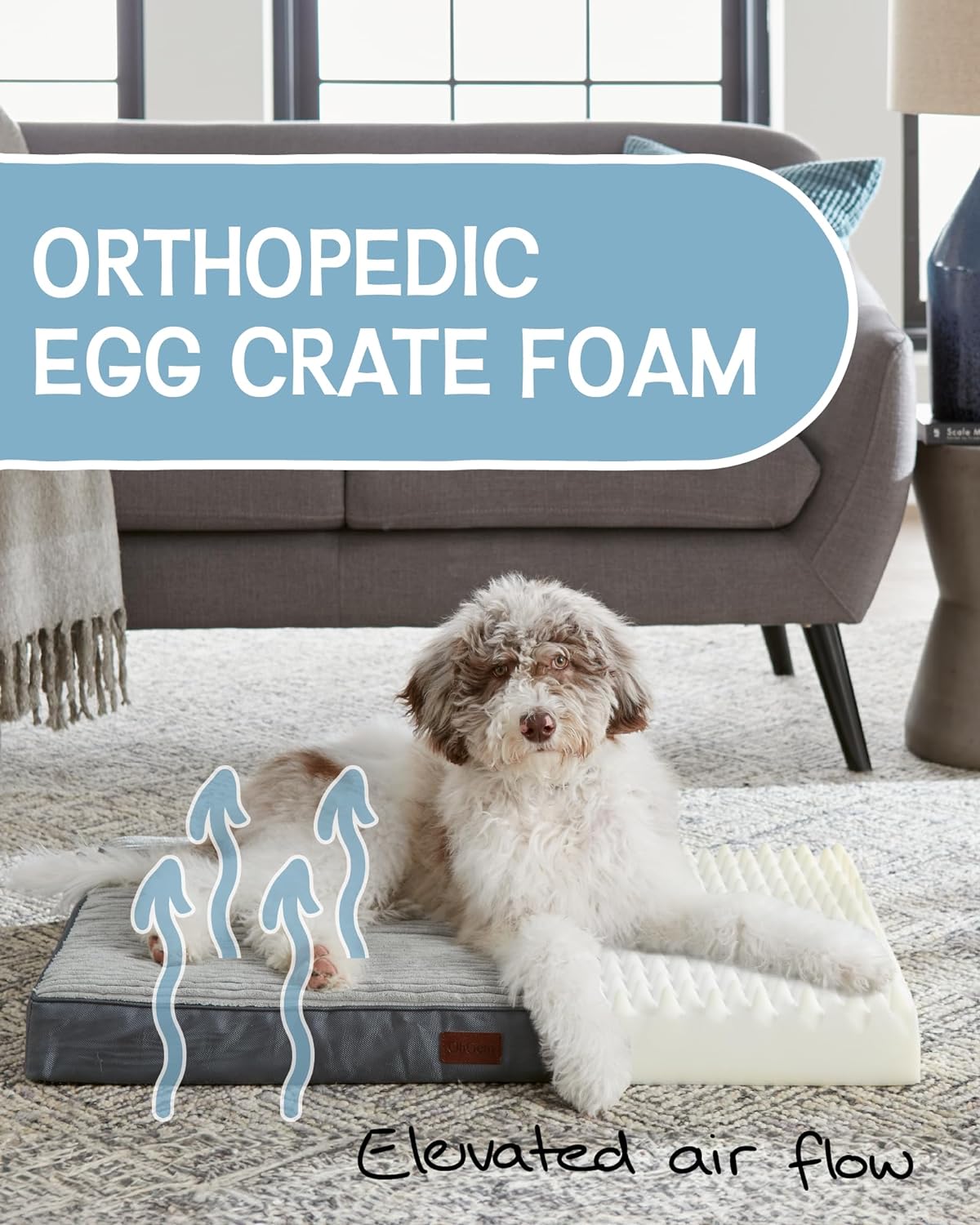 30 Inch Orthopedic Waterproof & Machine Washable Dog Bed with Egg Crate Foam Support, Non-Slip Bottom and Removable Pet Bed Cover for Extra Large, Large, Medium, Small Dogs (Gray)